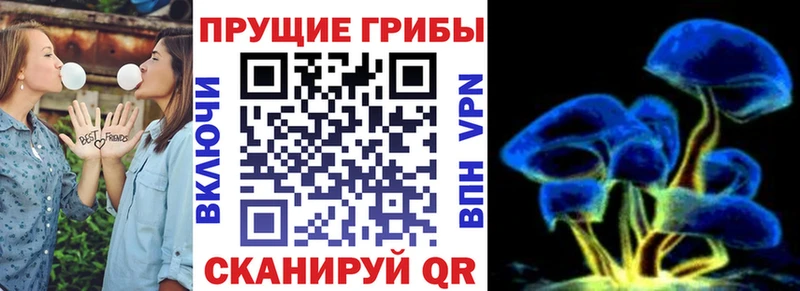 Купить  Учалы  Галлюциногенные грибы Magic Shrooms 